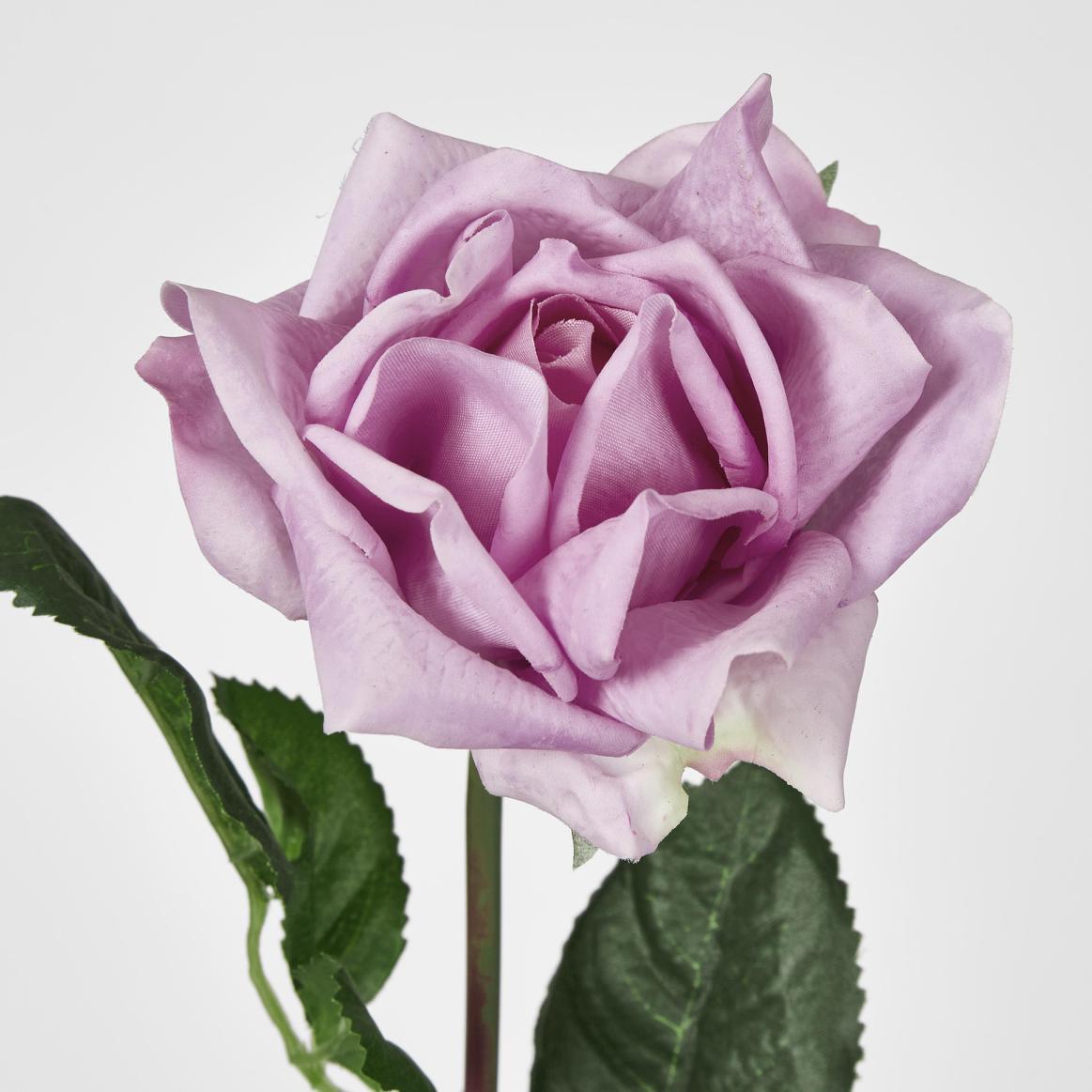 Ingrid Rose 46cm Mauve 24 pcs