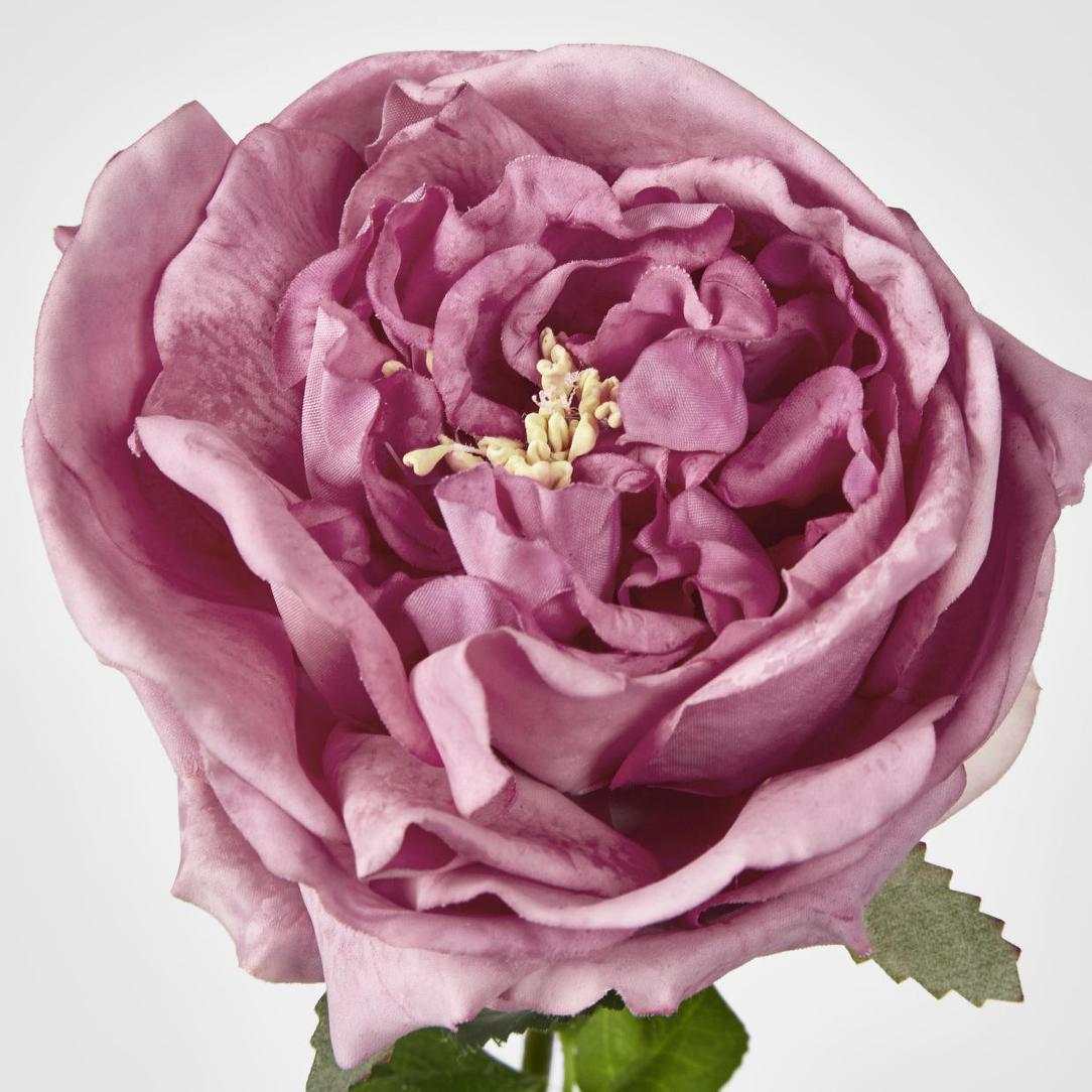 Dianna Real Touch Rose Steam Autumn Pink60cm 15 pcs