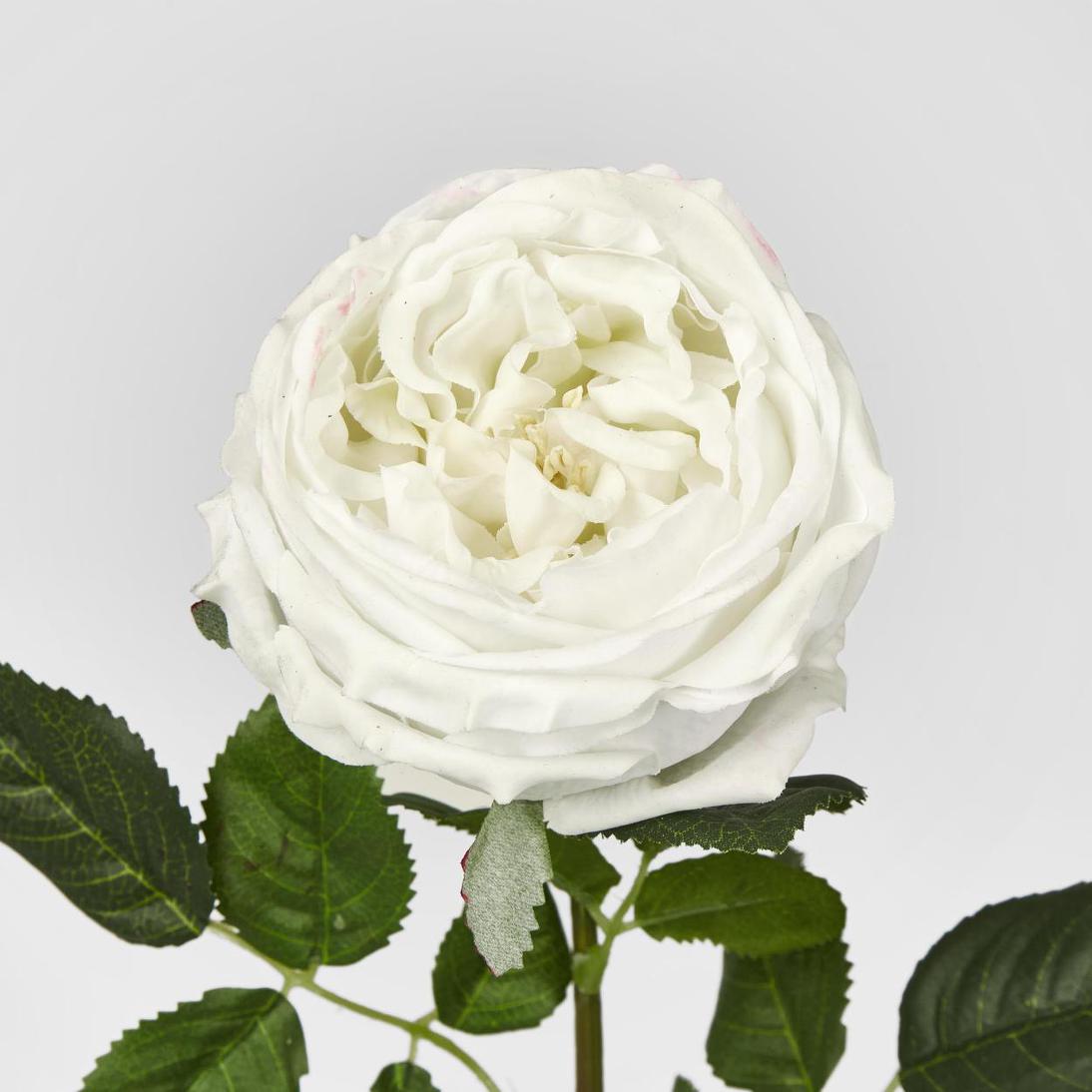 Dianna Real Touch Rose Stem White 60cm 15 pcs