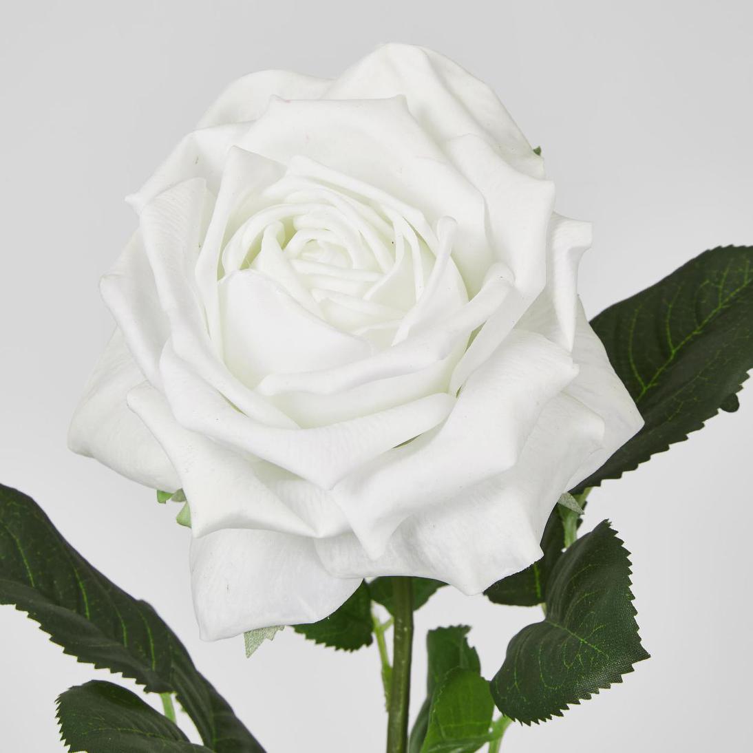 Walter Real Touch Rose Stem Winter White61cm 12 pcs