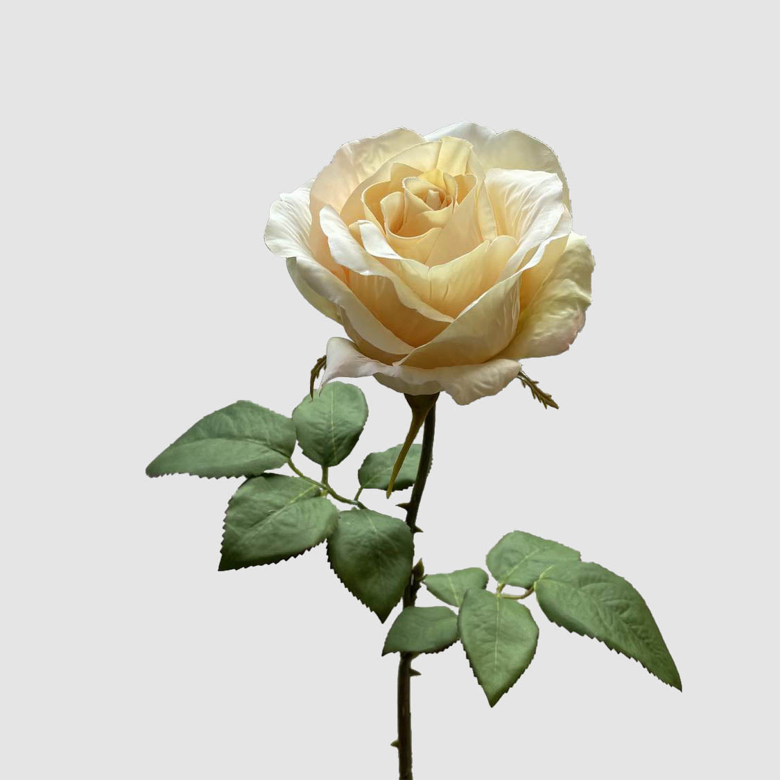 Rose Spray Peach 53cm 12 pcs