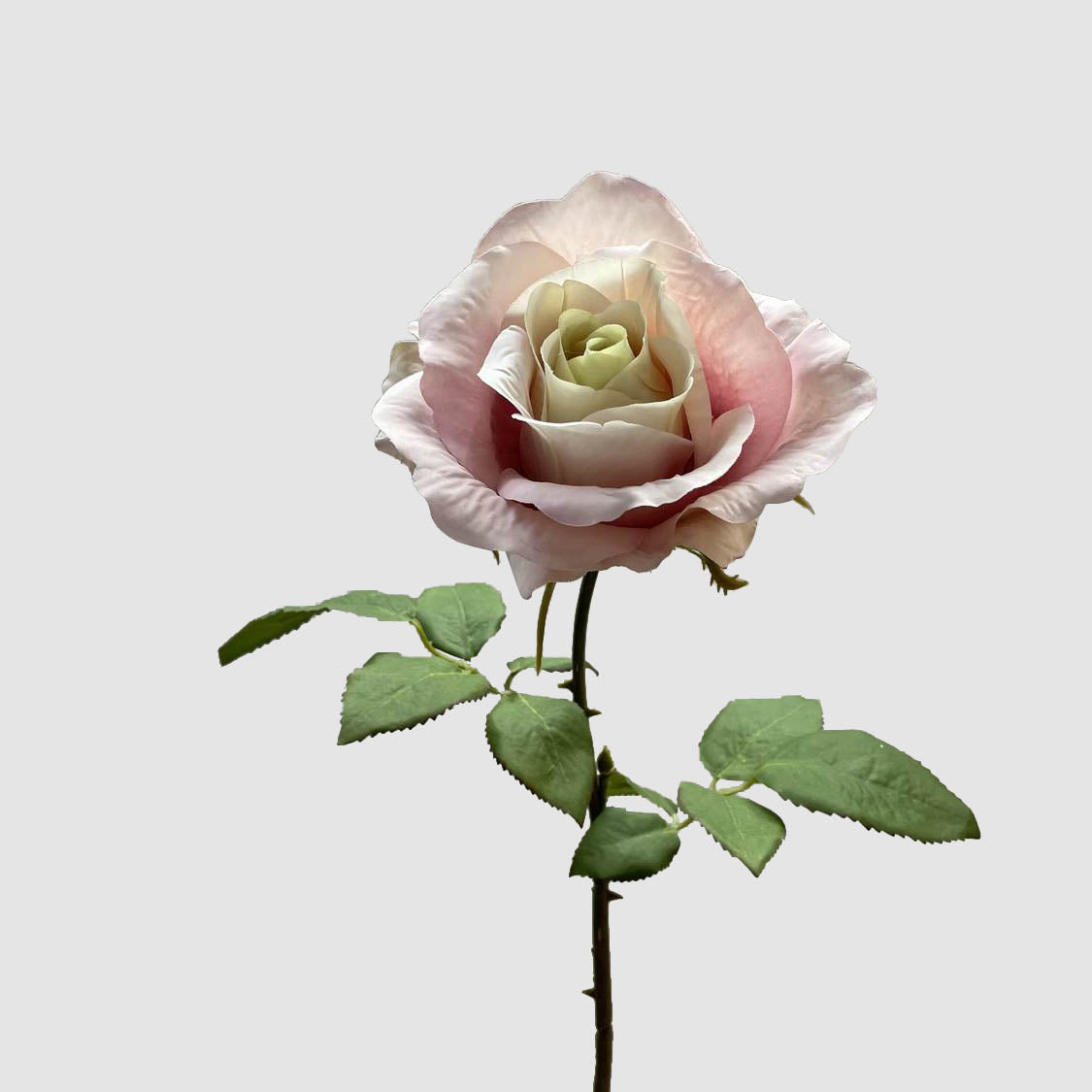 Rose Spray Pink 53cm 12 pcs