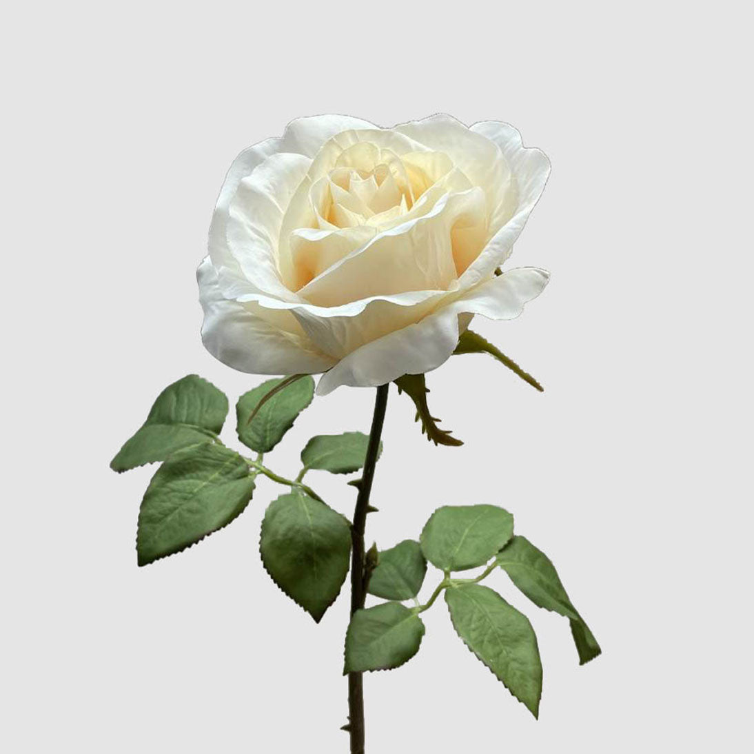 Rose Spray White 53cm 12 pcs