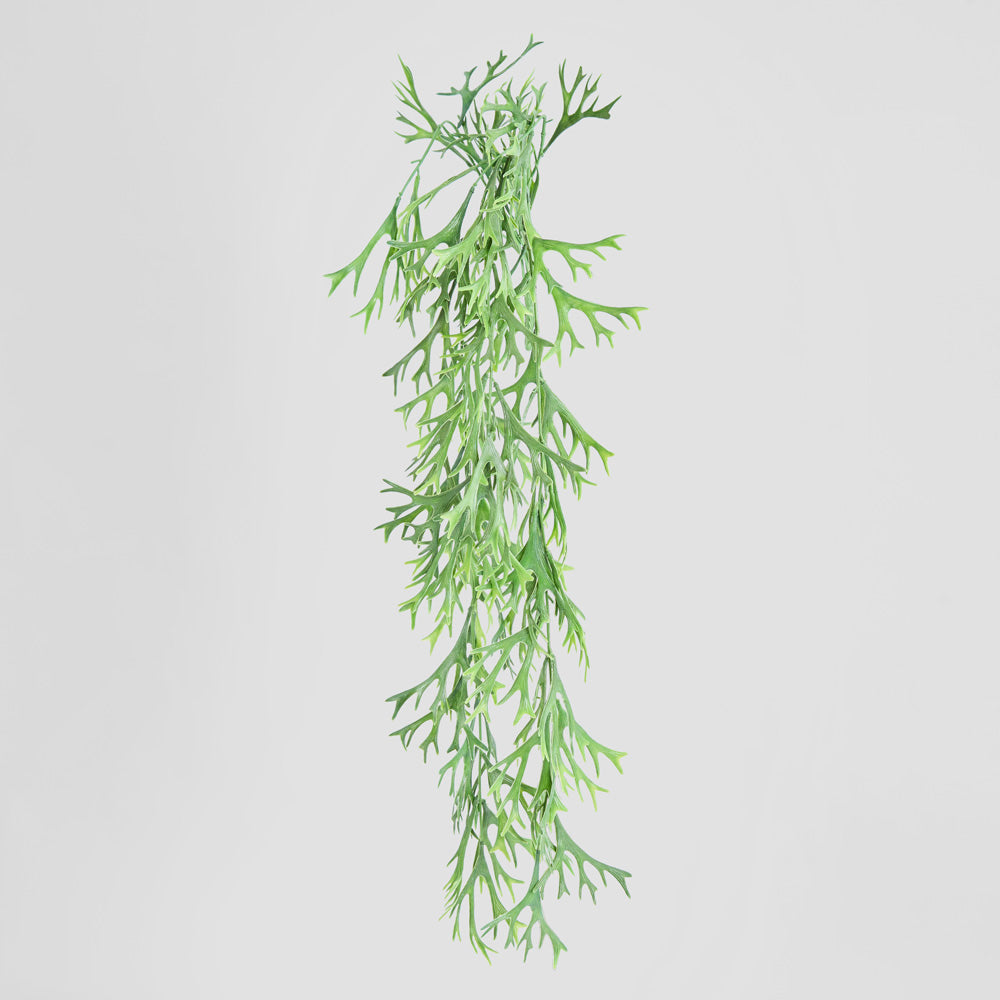 Staghorn Leaves Hanging Vine 70cm 6 pcs