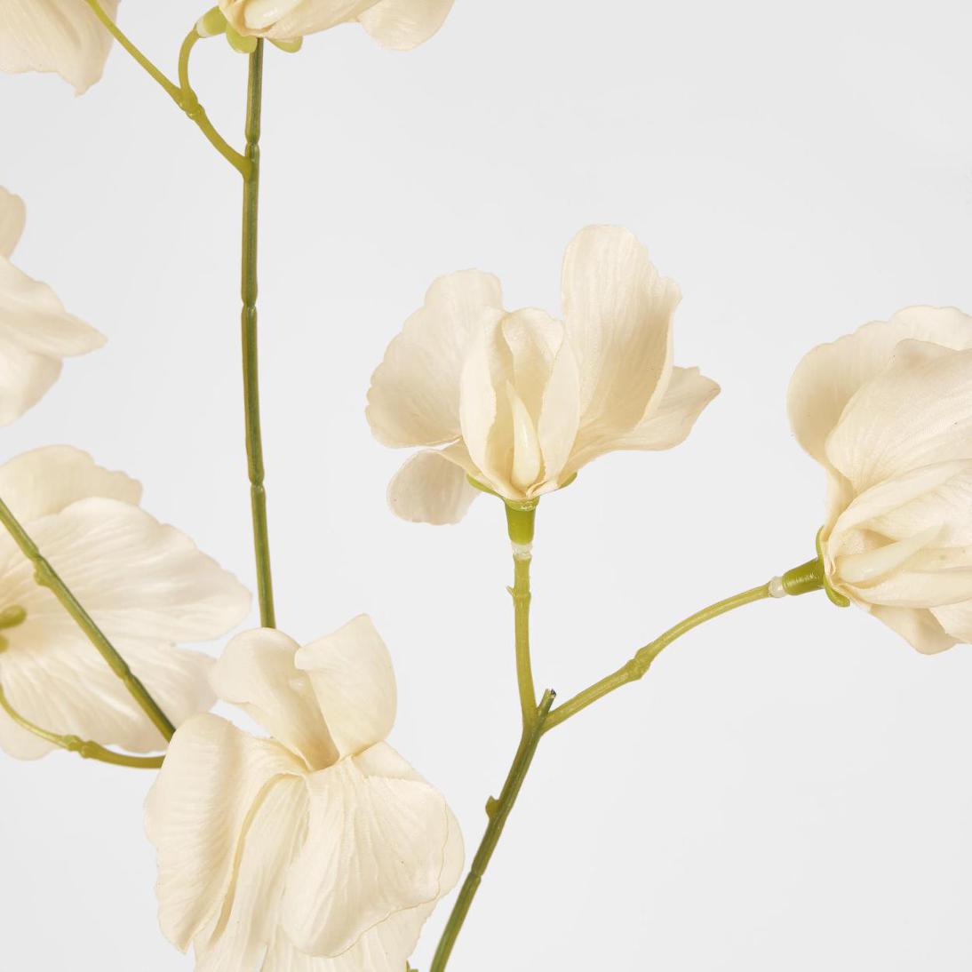 Jane Sweet Pea 60cm Off White 6 pcs
