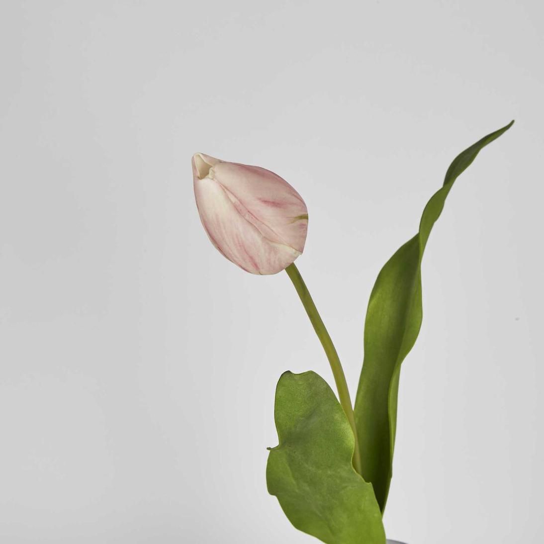 Soft Touch Tulip Stem Light Pink