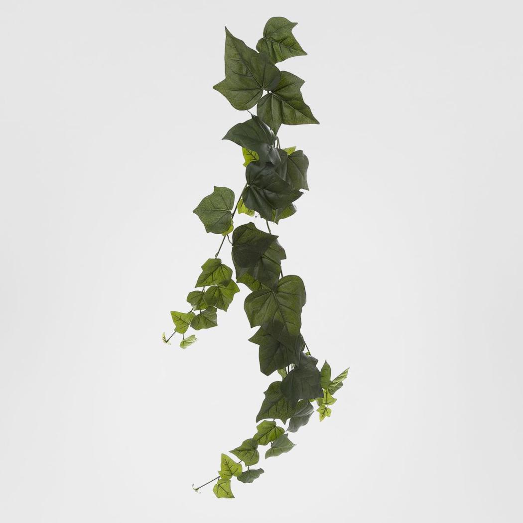 Giant Ivy Vine1.15m