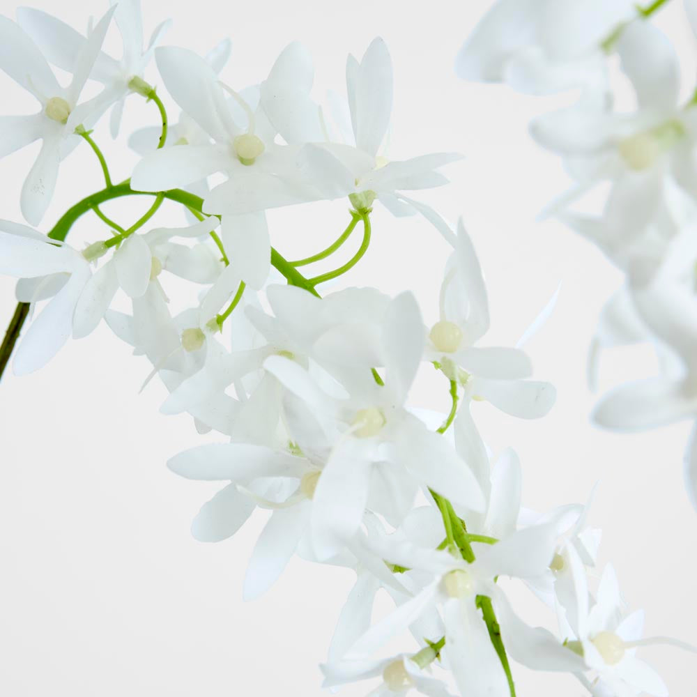 Trailing Wisteria 118cm White