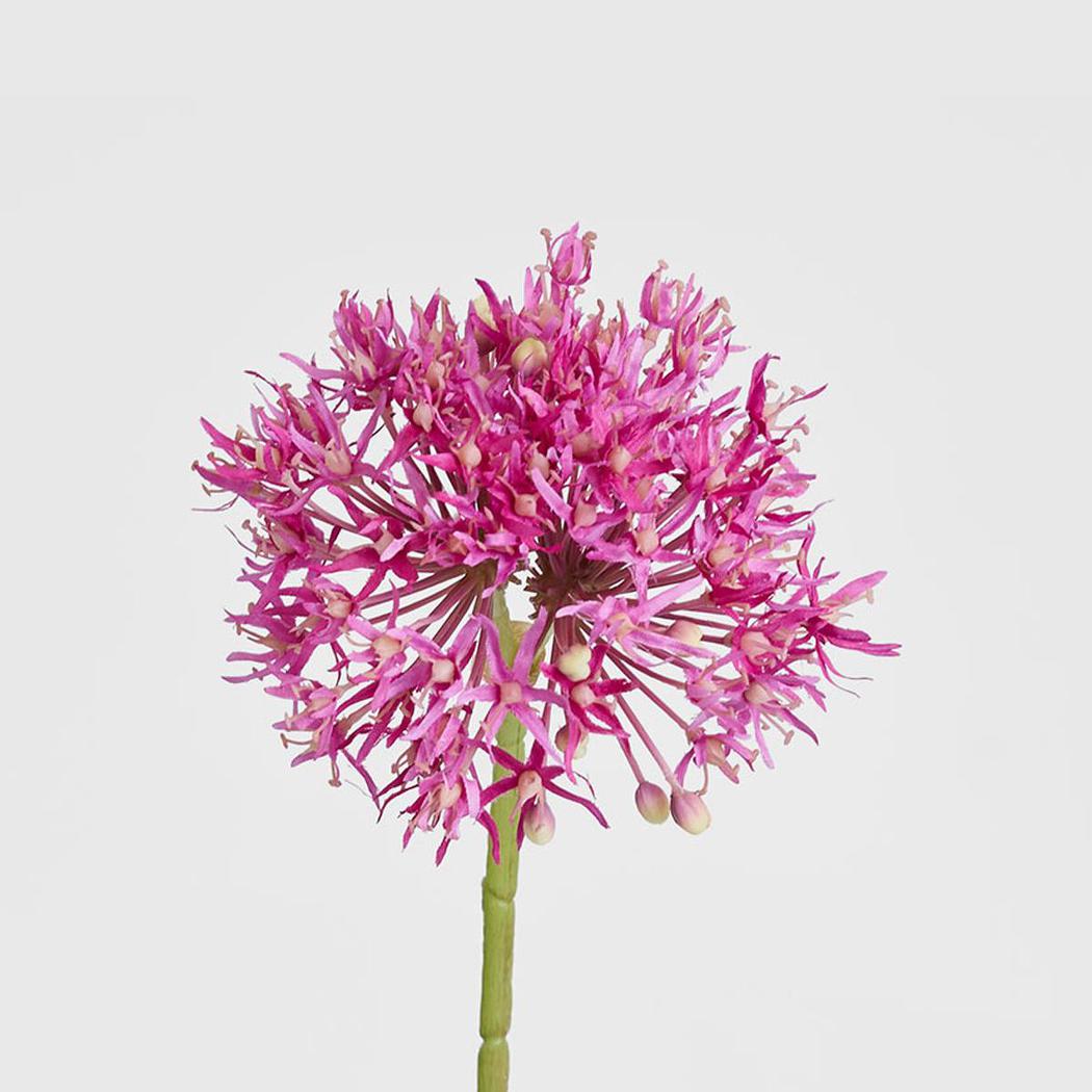 Allium Flower Stem 74cm Fuchsia