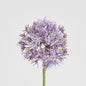 Allium Flower Stem 74cm Lavender
