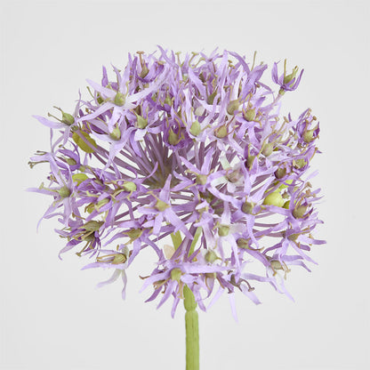 Allium Flower Stem 74cm Lavender