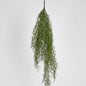 Asparagus Hanging Spray 138cm