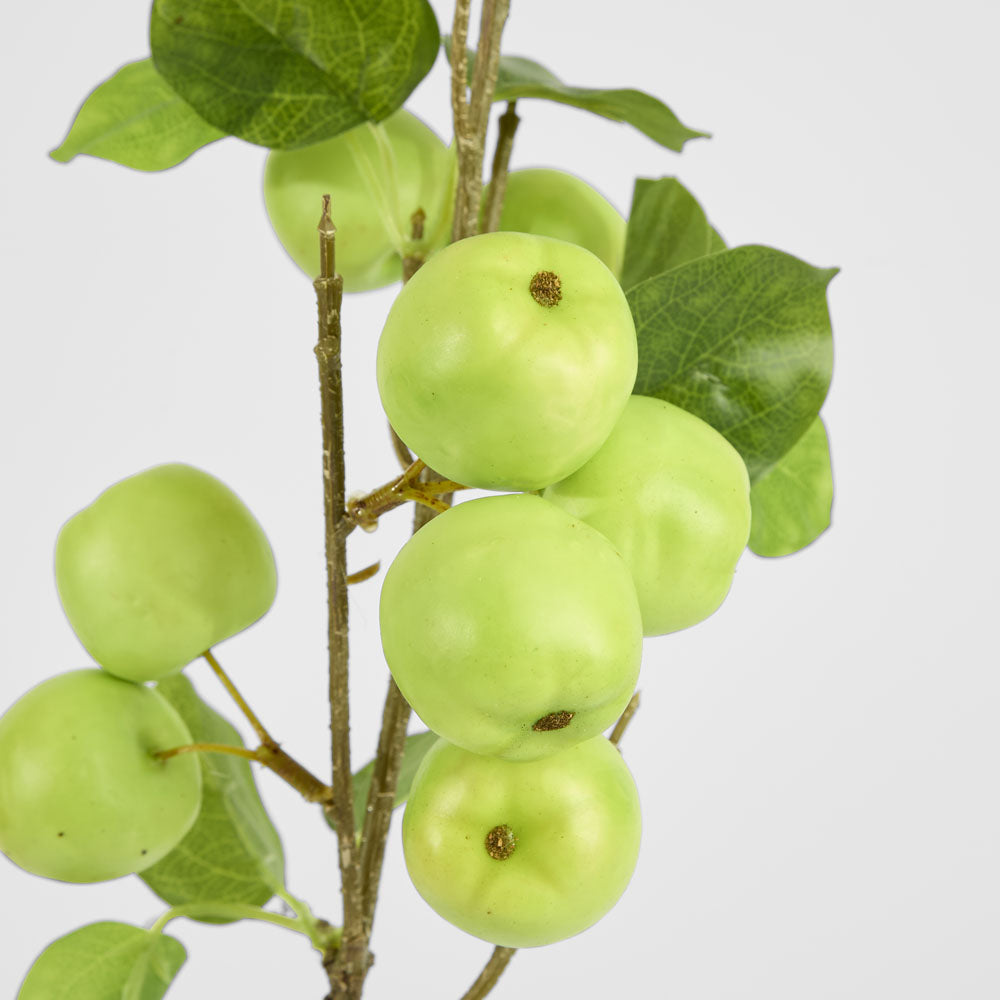 Wild Crab Apple Stem Green