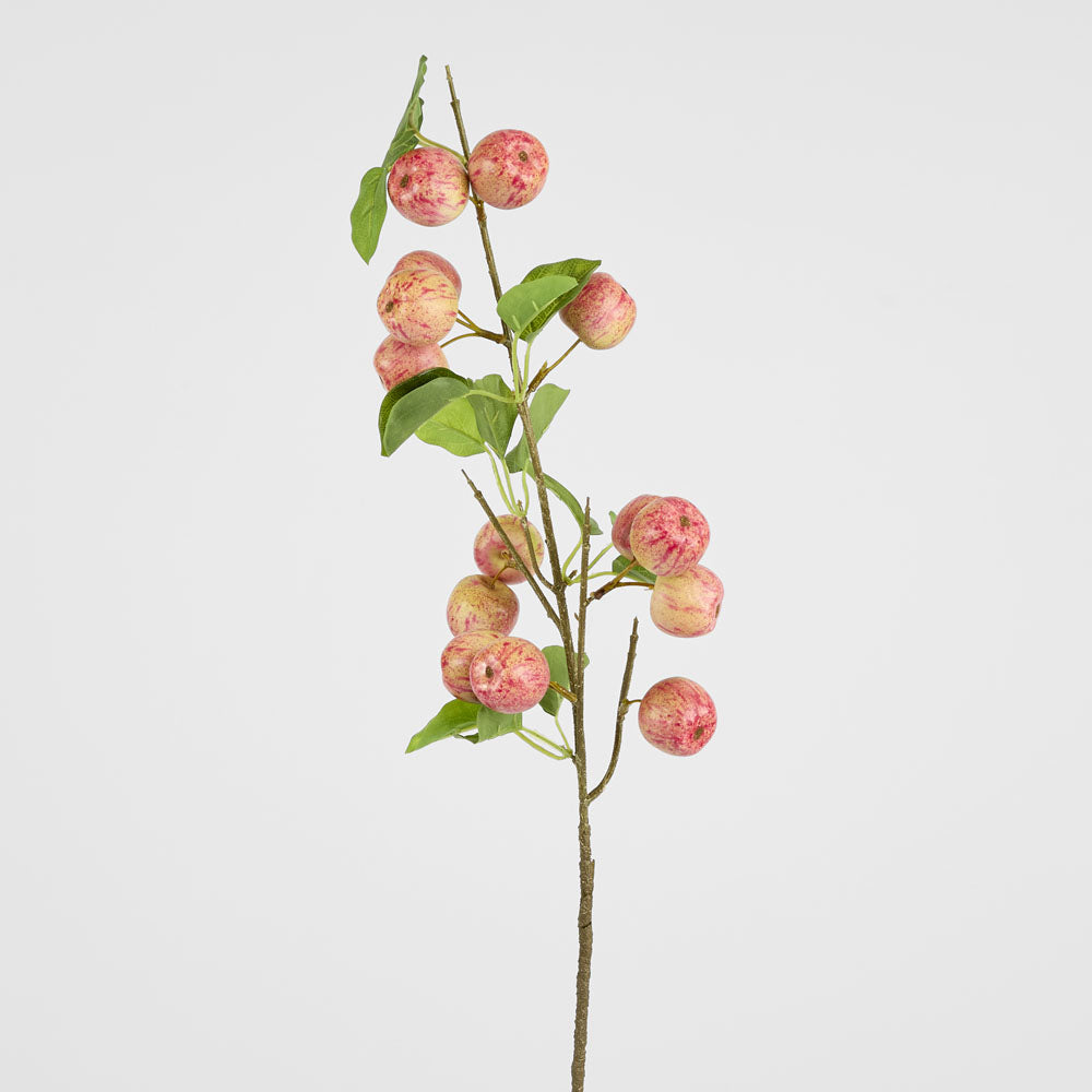 Wild Crab Apple Stem Red
