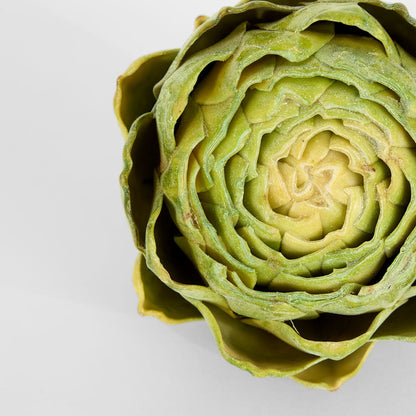Cut Artichoke Green