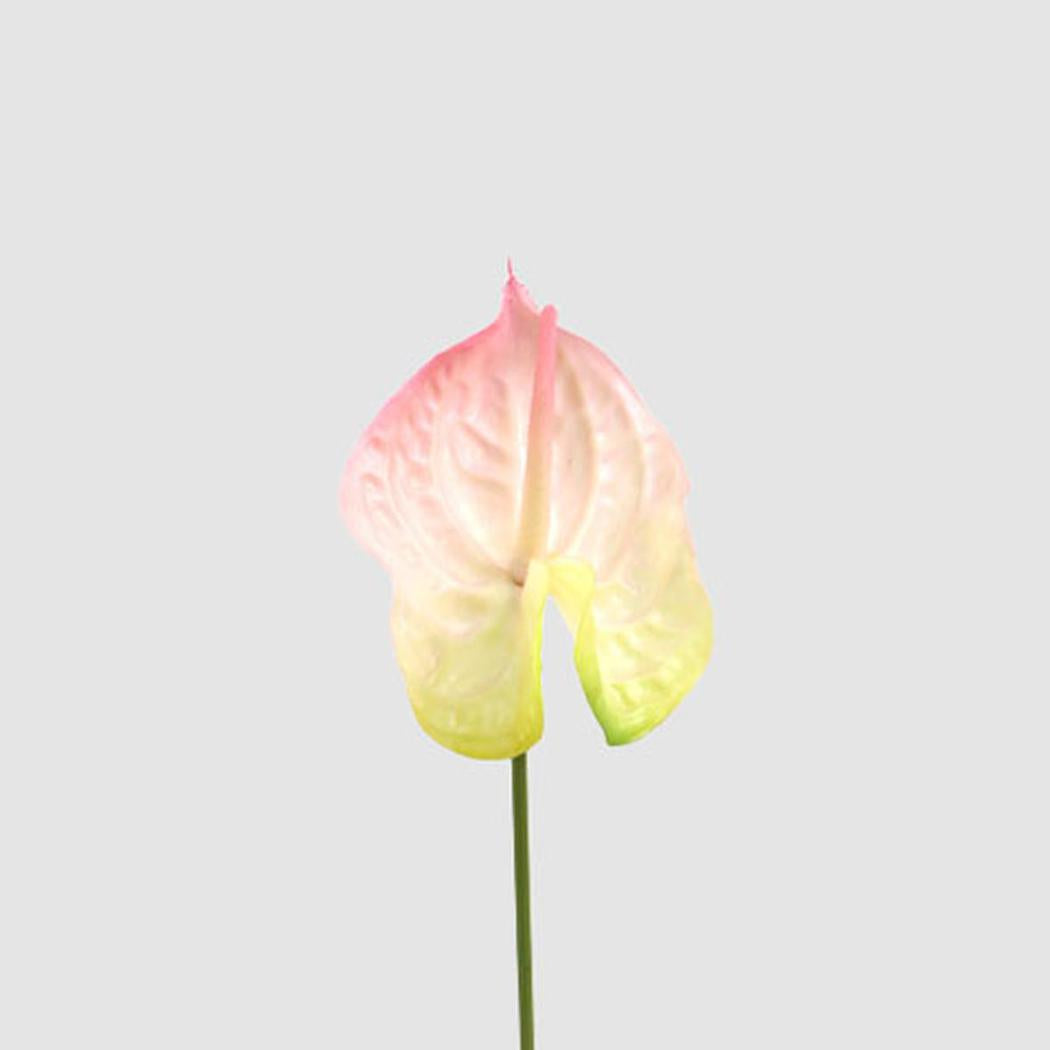 Anthurium Lily Real Touch Pink 12 pcs