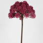 Allium 98cm Fuschia