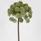 Allium 98cm Green