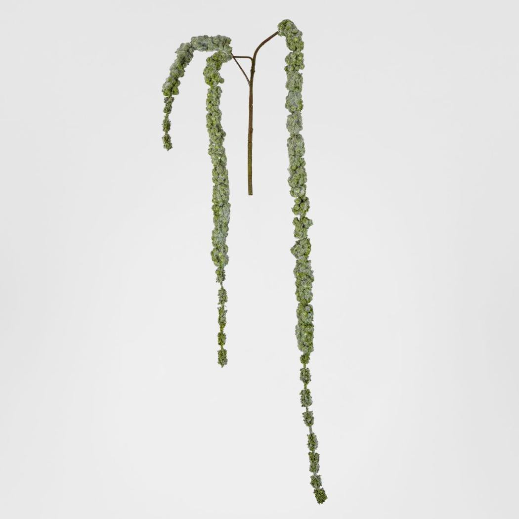 Amaranthus Hanging Spray 1.45m Green