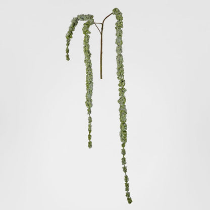 Amaranthus Hanging Spray 1.45m Green