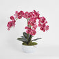 Colette Arrangement White