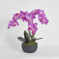 Amira Arrangement Black