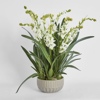 Ferne Arrangement Taupe