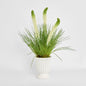 Cream Foxtail Arrangement White