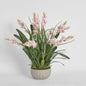 Pauline Arrangement Taupe