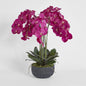 Oreana Arrangement Black