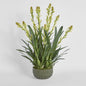 Tahlia Arrangement Olive
