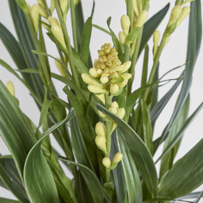 Tahlia Arrangement Olive