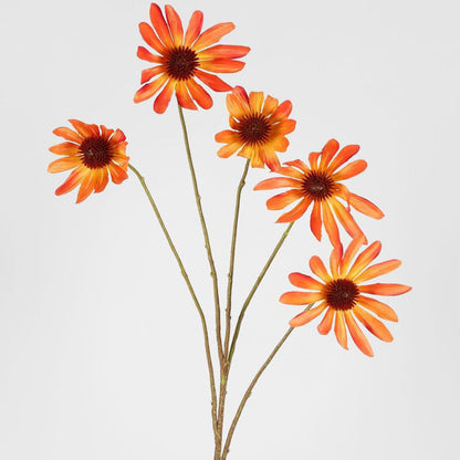 Black Eyed Susan Stem 82cm Orange 6 pcs