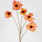 Black Eyed Susan Stem 82cm Orange 6 pcs