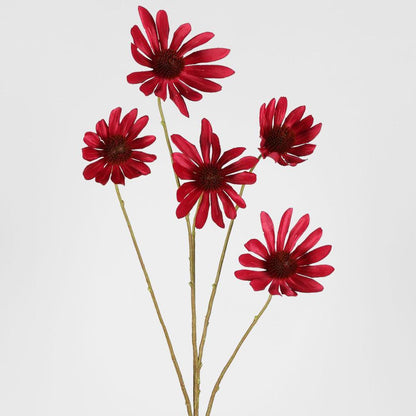Black Eyed Susan Stem 82cm Beauty 6 pcs