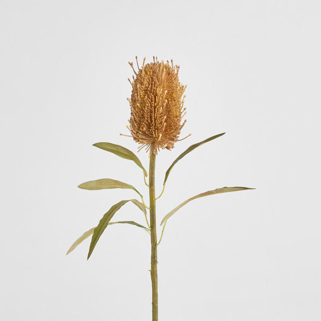Dried Look Banksia Stem 56cm Tan 6 pcs