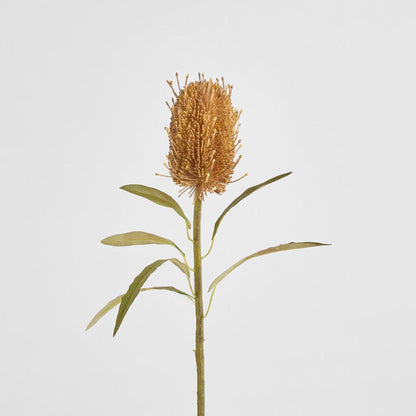 Dried Look Banksia Stem 56cm Tan 6 pcs