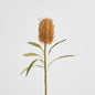 Dried Look Banksia Stem 56cm Tan 6 pcs