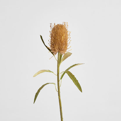 Dried Look Banksia Stem 56cm Tan 6 pcs