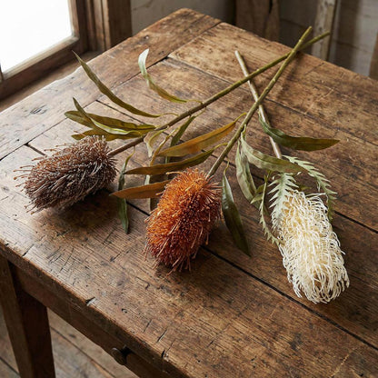 Dried Look Banksia Stem 56cm Tan 6 pcs