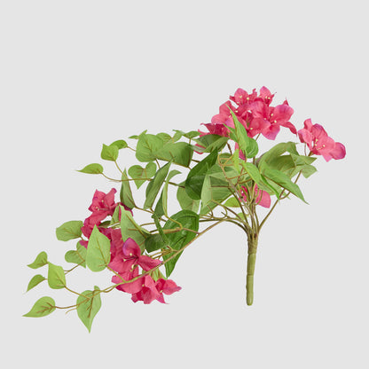Trailing Bougainvillea Bush Fuchsia UV Coated