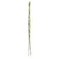 Bamboo Twig Bundle 1m 6 pcs