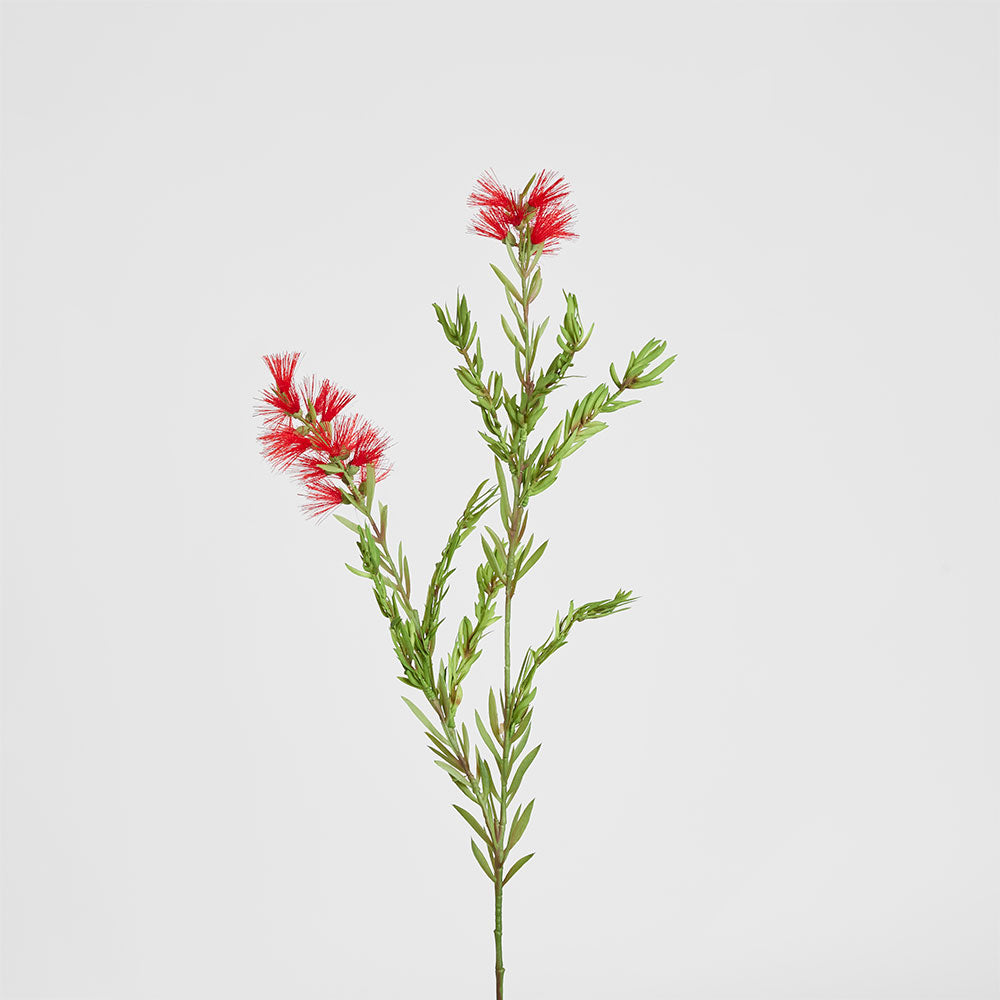 Bottle Brush Spray 84cm Red