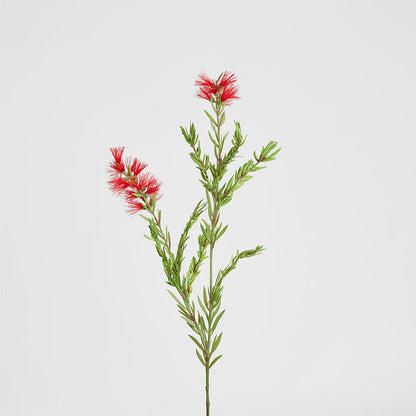 Bottle Brush Spray 84cm Red