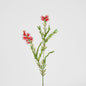 Bottle Brush Spray 84cm Red