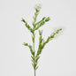 Bottle Brush Spray 84cm White