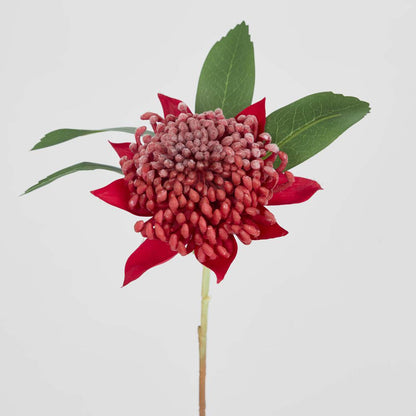 Bottle Brush Spray 84cm White