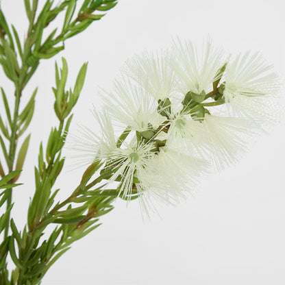 Bottle Brush Spray 84cm White