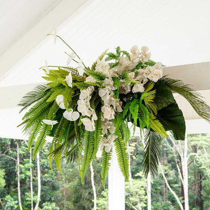 Boston Fern Bush 61cm