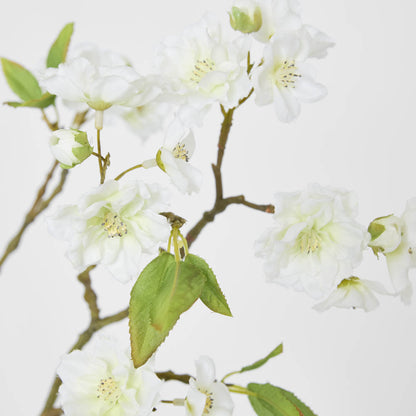 Blossom Spray 78cm White